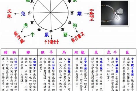 2003年五行|2003年是什么命五行